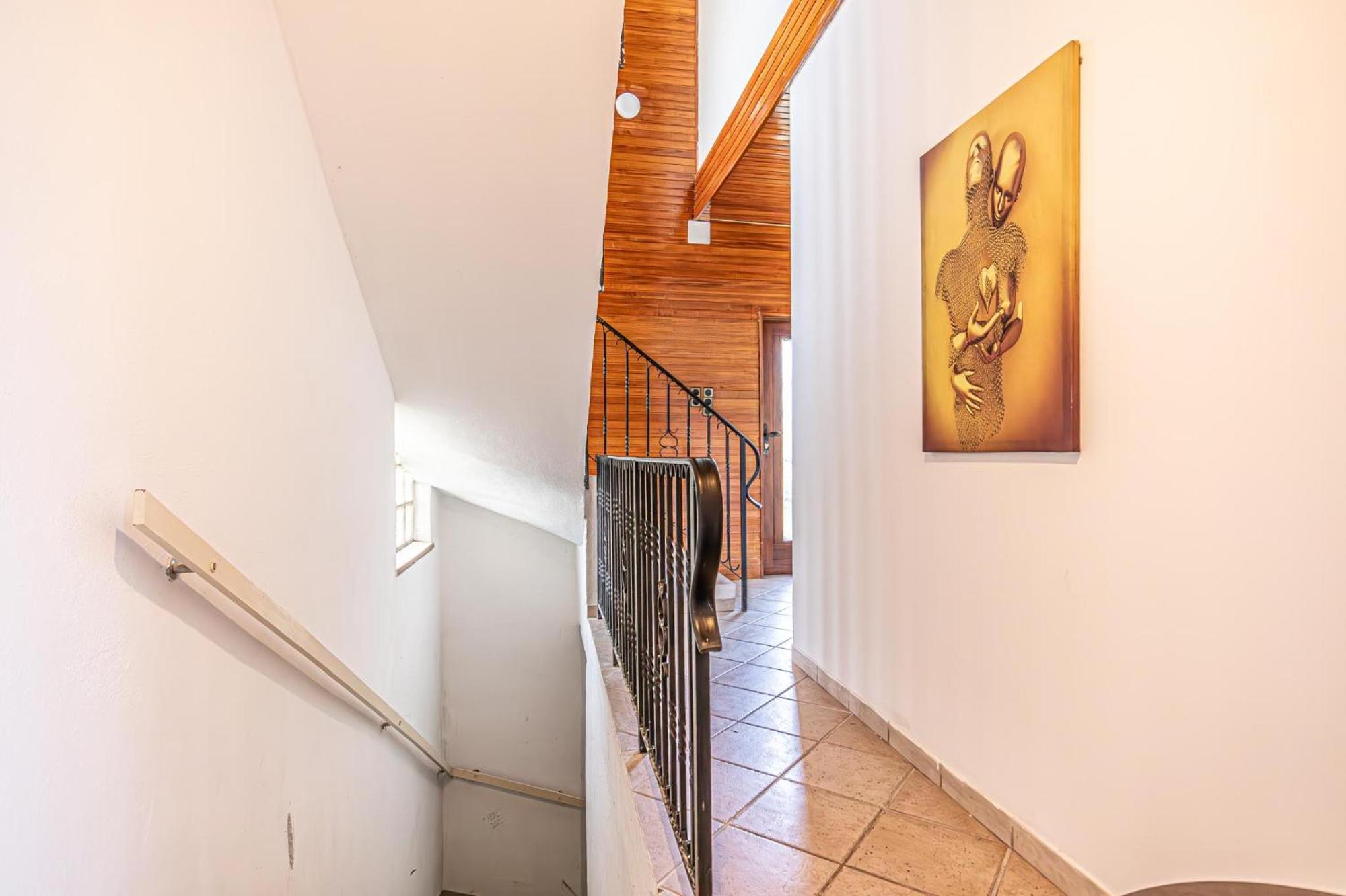 Apartment Cozy Entire House With Terrace And Garden, Up To 34p Wien
